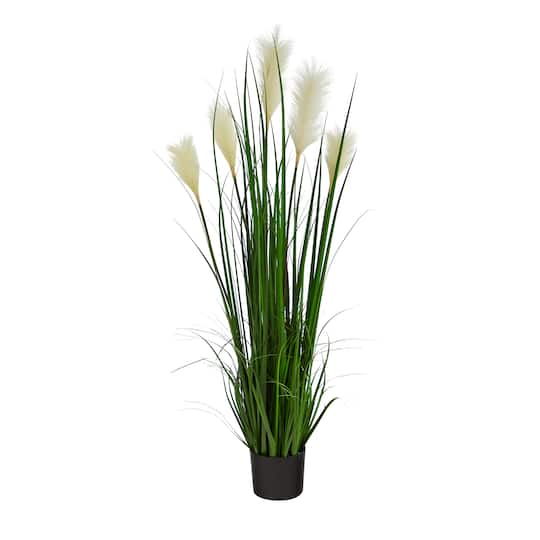 4ft. Potted Plume Grass Plant